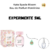 Fracionado 5ml Kate Spade New York Bloom Eau de Parfum Feminino