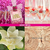 Imagem do Fracionado 5ml Viva La Juicy Le Bubbly Juicy Couture Eau de Parfum Feminino