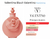 Fracionado 5ml Valentina Blush Valentino Eau de Parfum Feminino - comprar online