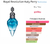 Fracionado 2ml Royal Revolution Katy Perry Eau de Parfum Perfume Feminino - comprar online