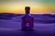 Fracionado 2ml Queen Of Silk Creed Eau de Parfum Feminino - comprar online