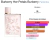 Fracionado 5ml Burberry Her Petals Eau de Parfum Feminino - comprar online