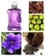 Fracionado 5ml Palatine Parfums de Marly Eau de Parfum Feminino - loja online