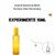 Fracionado 10ml Grand Bahama Skelt Parfum Feminino