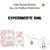 Fracionado 10ml Kate Spade New York Bloom Eau de Parfum Feminino