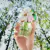Fracionado 2ml Daisy Wild Marc Jacobs Eau de Parfum Perfume Feminino - comprar online