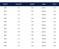 Imagen de Tubo Torx Enc 1/2 T30 X 100 Mm Bremen 4620
