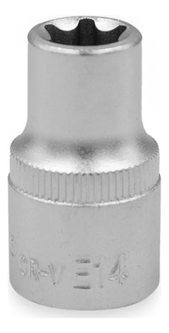 Tubo Tubo Torx Hembra E14 Encastre 1/2 Bremen 4109