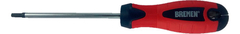 Bremen Destornillador M/goma Torx T25 6x100mm 2822