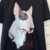 CAMISETA OVERSIZED REGULAR BULL TERRIER