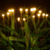 Imagen de Estaca 30 Led Exterior Decoración Luciérnaga 220v