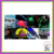 Luz Led Bicicleta Moto Auto Recargable Usb Rgb en internet