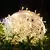 Bola vazada 20cm 30 Leds Blanco Calido en internet