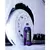 Shampoo Neutro p Autos V Floc Vonixx Super Concentrado 1.5 L - comprar online