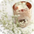 Kit Réchaud com 2 Fragrâncias - Afago