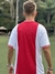Camisa Ajax 22/23 na internet