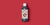 Top Max 250ml - Bio Bizz