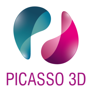 Picasso 3D