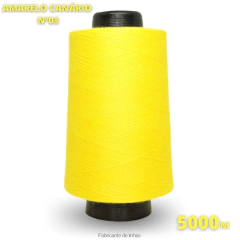 Kit Linha Colorida 10 Cones de 5000m Monte seu kit na internet