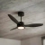 Ventilador techo Negro con luz LED y control remoto Indelplas - comprar online