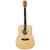 Guitarra acustica SX SD104
