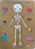 Juego Encastre del Cuerpo Humano - comprar online