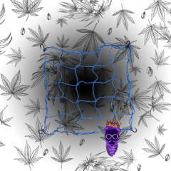 Red Scrog 40x40 elástico - comprar online