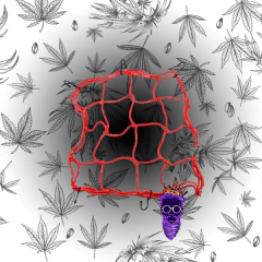 Red Scrog 40x40 elástico
