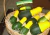 Sementes de abóbora brasileirinha em promoção, abóbora bi-color, comprar sementes de abóboras diversas, plantar abóbora no vaso, plantar sementes de abóbora brasileirinha duas cores na horta