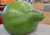  semente da maior cabaça do mundo, sementes de cabaça gigante, sementes de cabaça africana, sementes de cabaça gigante africana, comprar sementes de cabaça gigante, comprar sementes de  cabaça gigante africana, comprar sementes de cabaça