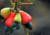 semente de cajuzinho vermelho do cerrado, semente de cajuzinho do cerrado, sementes de cajuzinho do cerrado, comprar sementes de cajuzinho vermelho do cerrado comprar sementes de cajuzinho nativo do cerrado, comprar sementes de frutas do cerrado