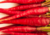 comprar sementes de cenoura vermelha, comprar sementes de cenoura atomic red, comprar sementes de cenoura atomic vermelha, sementes de cenoura vermelha, semente orgânica de cenoura vermelha, semente de cenoura vermelha