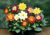 Sementes de Dália em promoção, plantar sementes de dália no vaso, plantar dália no jardim, sementes de flores diferentes, sementes de flores raras, comprar sementes de flores lindas