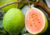 Comprar sementes de frutas, semente de goiaba diferente, sementes em promoção, sementes para presente, plantar sementes de goiaba vermelha no jardim, plantar sementes de goiaba no vaso, comprar sementes de goiaba vermelha no Armazém da Roça