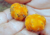 Sementes de mão-de-gato, sementes de helicostylis tomentosa, comprar sementes de amora do mato, sementes de helicostylis, sementes de frutas raras, comprar sementes de helicostylis tomentosa, comprar sementes de helicostylis