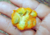Sementes de mão-de-gato, sementes de helicostylis tomentosa, comprar sementes de amora do mato, sementes de helicostylis, sementes de frutas raras, comprar sementes de helicostylis tomentosa, comprar sementes de helicostylis