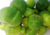 semente de jiló redondo, semente de jiló, comprar semente de jiló, sementes de jiló, sementes de jiló redondo, comprar sementes de legumes, comprar sementes para horta, sementes de frutas, sementes de legumes