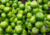 semente de jiló redondo, semente de jiló, comprar semente de jiló, sementes de jiló, sementes de jiló redondo, comprar sementes de legumes, comprar sementes para horta, sementes de frutas, sementes de legumes