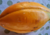 semente de mamão babaco, sementes de mamão babaquinho, comprar sementes de mamão babaco, comprar sementes de mamão babaquinho, onde comprar sementes de frutas exóticas, onde comprar sementes de mamão babaco