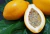 semente de maracujá doce gigante, semente de passiflora, comprar semente de passiflora alata, semente de frutas raras, sementes de passiflora alata, comprar sementes de maracujá doce, comprar sementes de maracujá doce gigante, onde comprar semente de mara