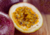 semente de maracujá azedo roxo, semente de maracujá roxo, comprar sementes de maracujá roxo, sementes de passiflora edulis, onde comprar sementes de maracujá roxo, sementes de maracujá azedo, semente de maracujá exótico, sementes de maracujá diferente