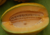semente de melão caipira gaúcho, semente de melão caipira, semente de melão gaúcho, comprar sementes de melão, comprar sementes de melão gaúcho, comprar sementes de melão caipira, sementes de frutas