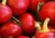 Comprar sementes de pimenta em promoção, semente de pimenta, plantar sementes de pimenta no quintal, comprar sementes de pimentas diferentes, plantar semente de pimenta no vaso, comprar sementes de pimenta doce, comprar sementes de pimenta ardida, plantar