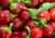 Comprar sementes de pimenta em promoção, semente de pimenta, plantar sementes de pimenta no quintal, comprar sementes de pimentas diferentes, plantar semente de pimenta no vaso, comprar sementes de pimenta doce, comprar sementes de pimenta ardida, plantar