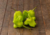 Comprar sementes de pimenta em promoção, semente de pimenta, plantar sementes de pimenta no quintal, comprar sementes de pimentas diferentes, plantar semente de pimenta no vaso, comprar sementes de pimenta doce, comprar sementes de pimenta ardida, plantar