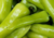 semente de pimenta doce comprida, semente de pimenta doce, semente de pimenta, sementes de pimenta doce comprida, sementes de pimenta doce verde, sementes de pimenta doce, sementes de pimenta verde