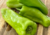 semente de pimenta doce comprida, semente de pimenta doce, semente de pimenta, sementes de pimenta doce comprida, sementes de pimenta doce verde, sementes de pimenta doce, sementes de pimenta verde