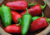 Comprar sementes de pimenta em promoção, semente de pimenta, plantar sementes de pimenta no quintal, comprar sementes de pimentas diferentes, plantar semente de pimenta no vaso, comprar sementes de pimenta doce, comprar sementes de pimenta ardida, plantar