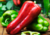 semente de pimentão vermelho, sementes de pimentão vermelho, comprar semente de pimentão, comprar sementes de pimentão, comprar semente para horta, plantar pimentão, semente de pimentão, sementes de pimentão
