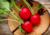 semente de rabanete redondo, sementes de rabanete redondo, sementes de rabanete, semente de rabanete, semente de legumes, comprar semente de rabanete, comprar semente de rabanete vermelho, comprar sementes